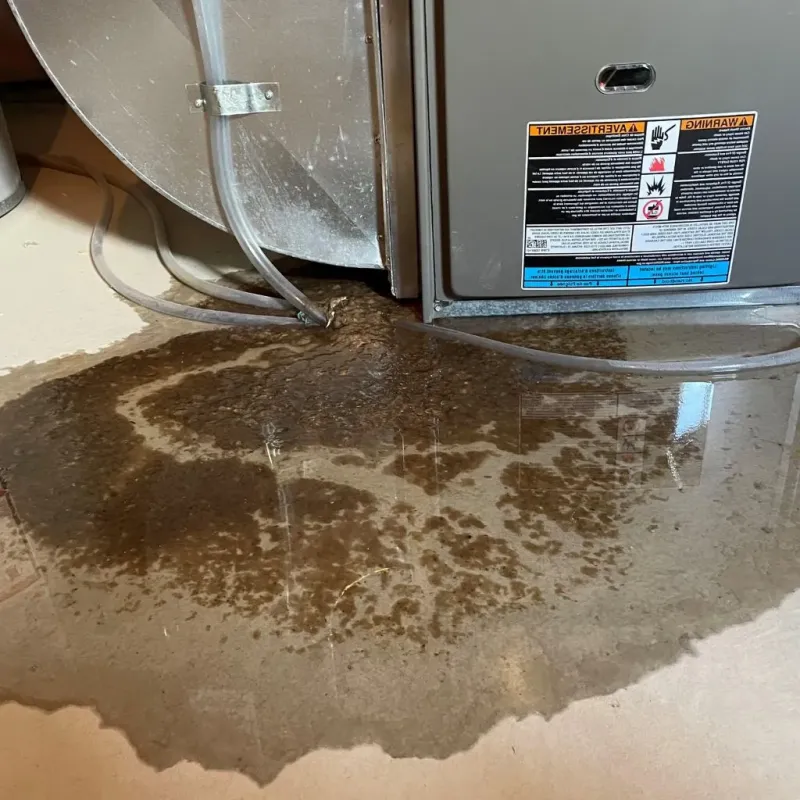Pipe Burst and Leak Restoration in Montgomery County, KY